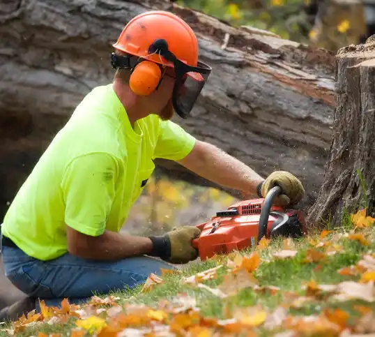 tree services Hobbs